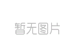 在今年上半年，中央公司的额外价值为52亿元人民